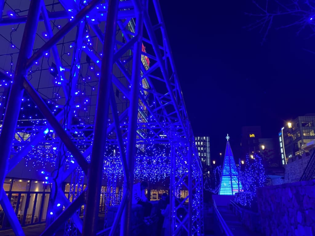 GARDEN CHRISTMAS