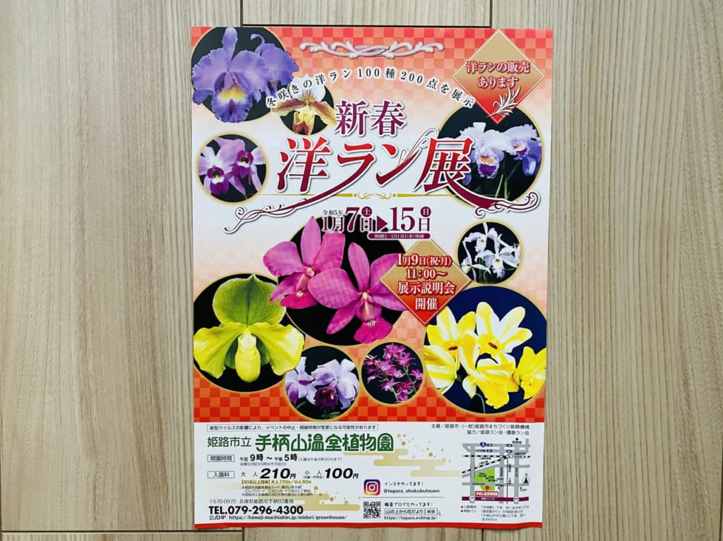 手柄山温室植物園