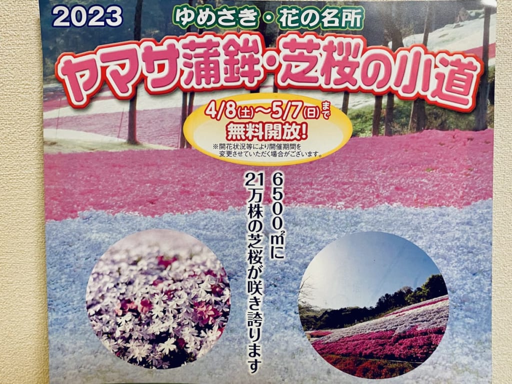 ヤマサ蒲鉾・芝桜の小道