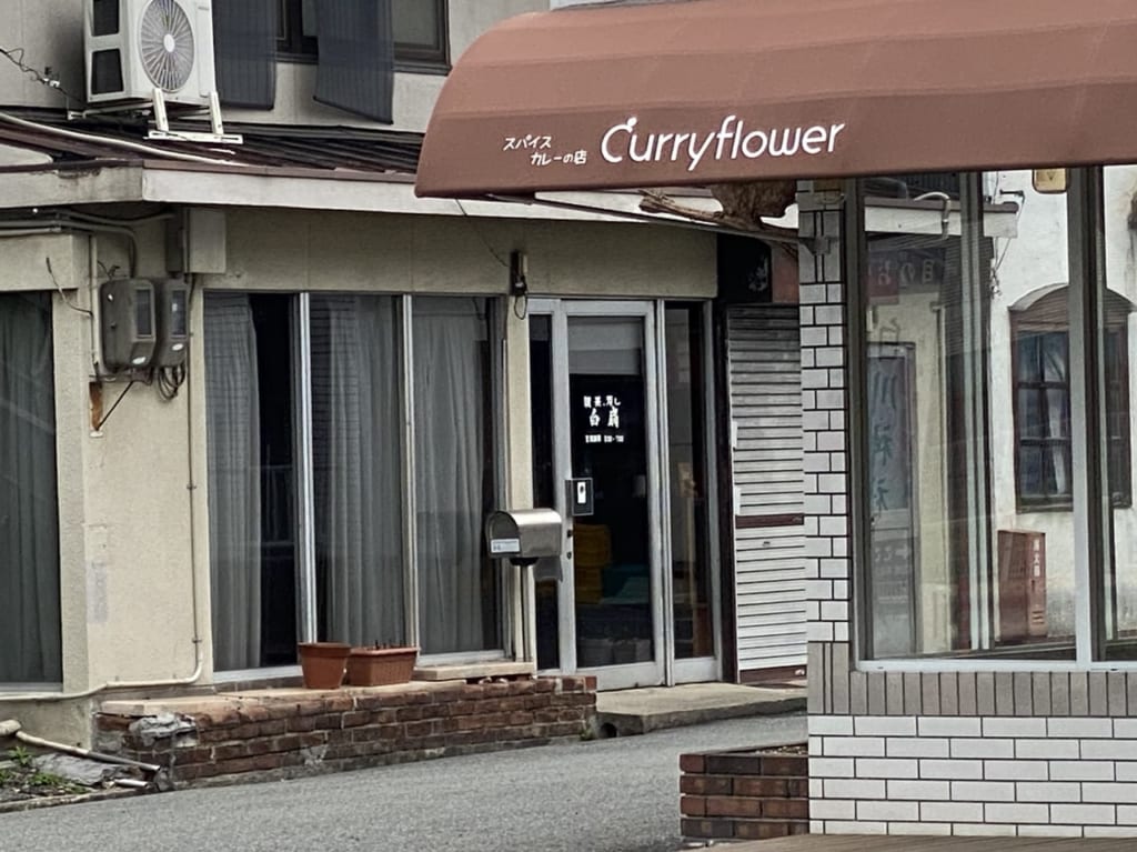 Curryflower