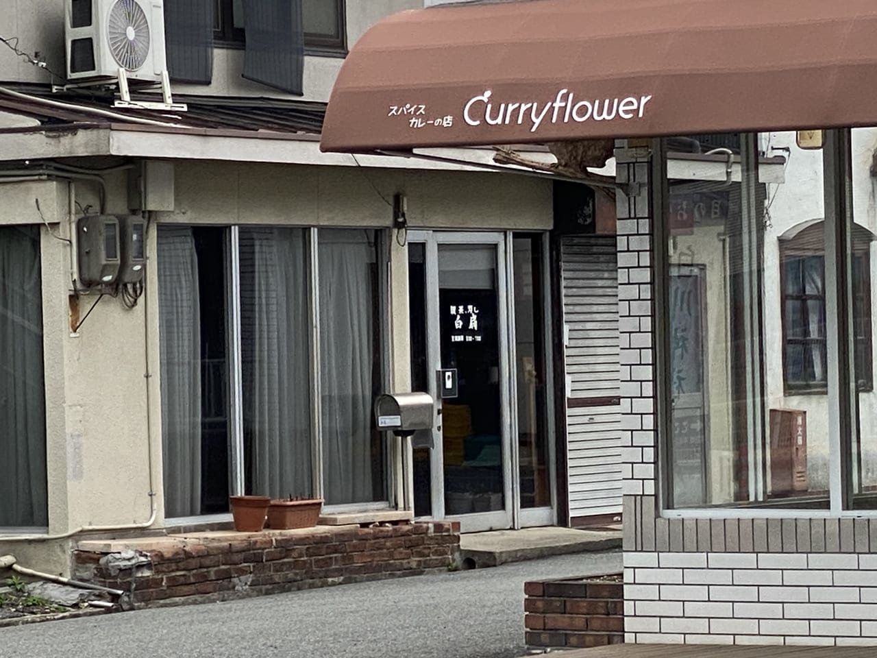 Curryflower