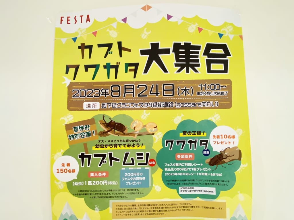 カブト クワガタ大集合