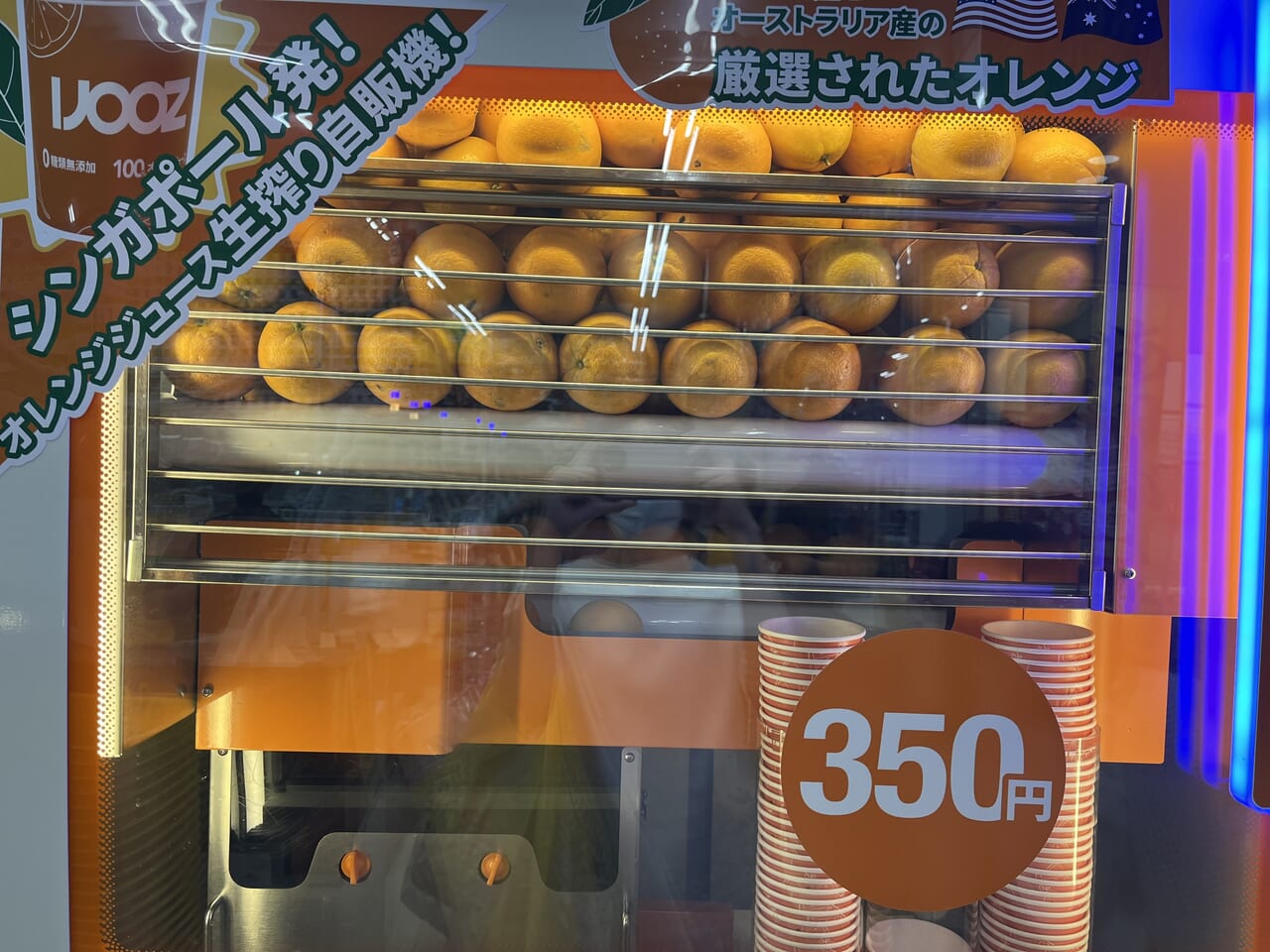 整列したオレンジ