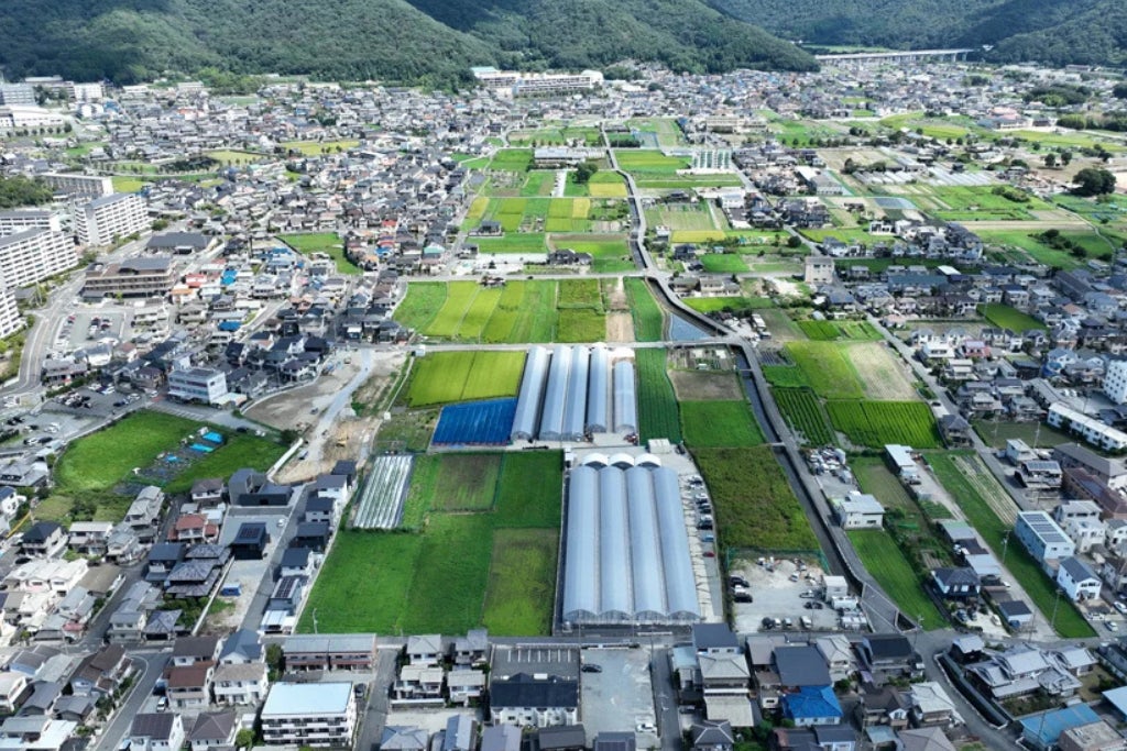 あかね農園